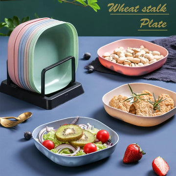 10pcs Plates Set With Holder